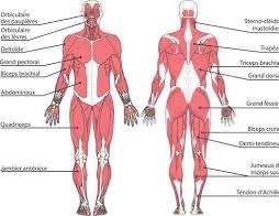 17689267038197511575311366611781_2613991632098515
